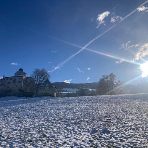 Christbaum für die Klasse