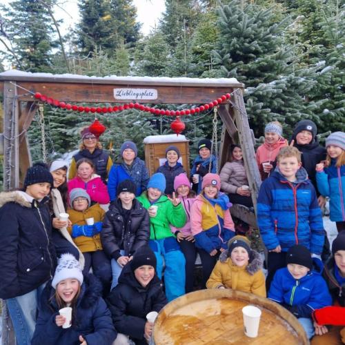 Christbaum für die Klasse