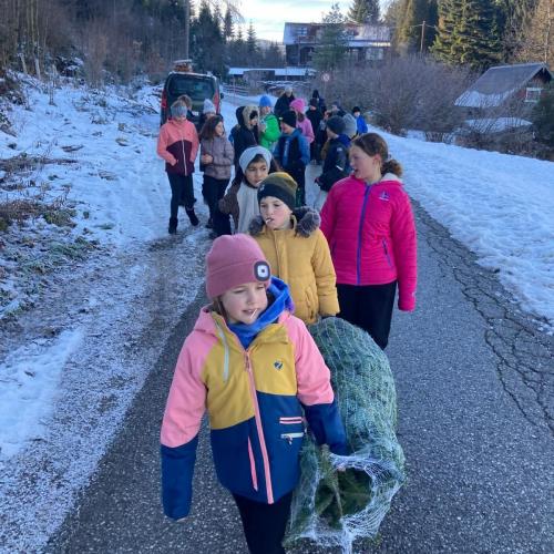 Christbaum für die Klasse