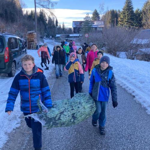 Christbaum für die Klasse