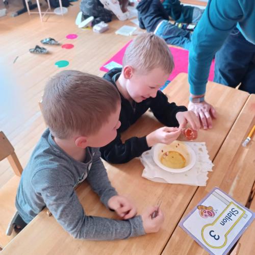 Experiment mit Eiern