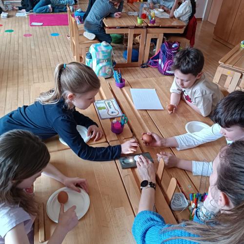 Experiment mit Eiern