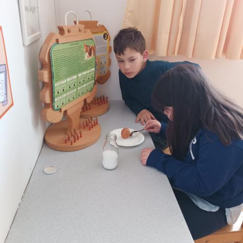 Experiment mit Eiern