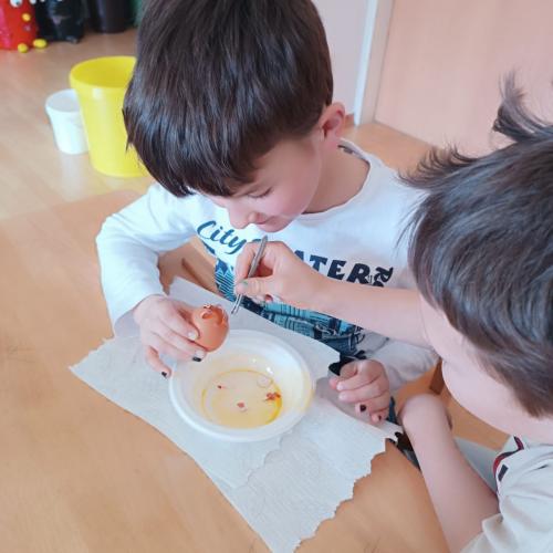 Experiment mit Eiern