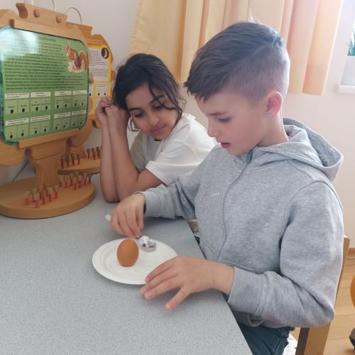 Experiment mit Eiern