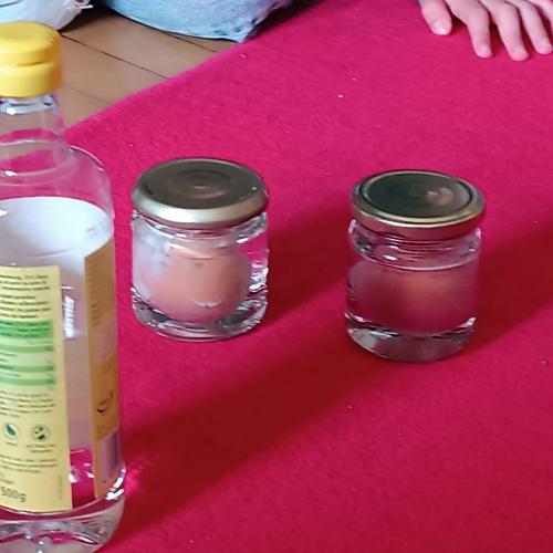 Experiment mit Eiern