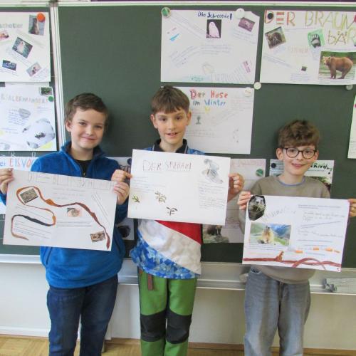 Zeichnungen und Plakate