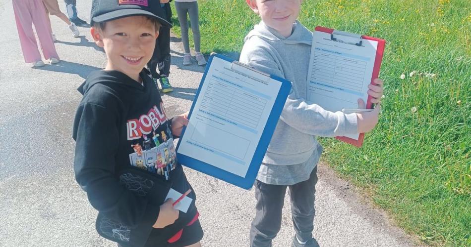 Entdeckungen auf der Wiese