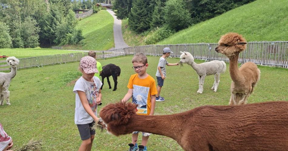 Zu Besuch am Nesseltalhof