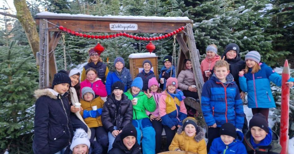 Christbaum für die Klasse