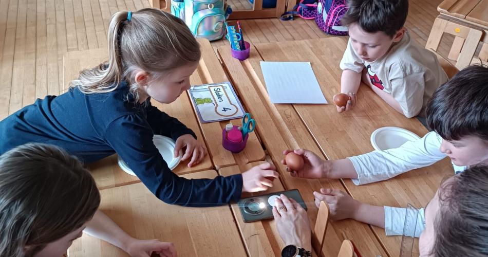 Experiment mit Eiern