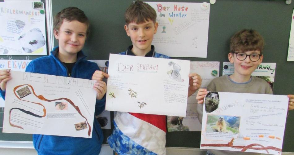 Zeichnungen und Plakate